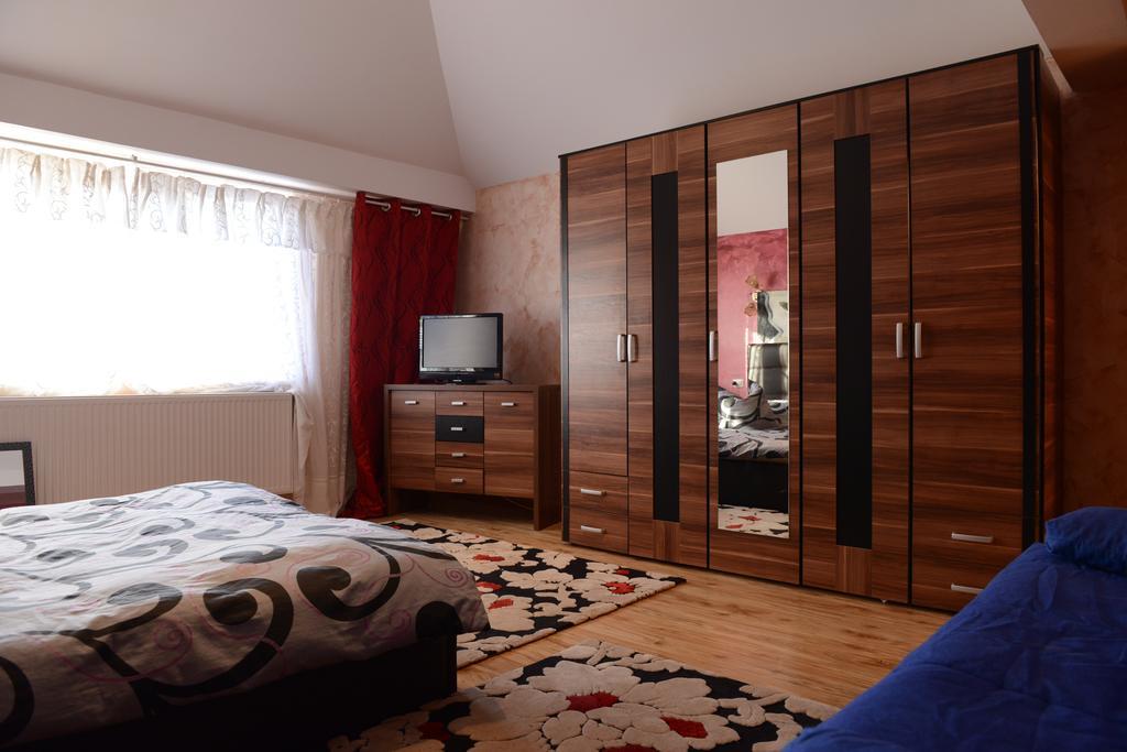 Vila Perla Sapanteana Сэпынца Номер фото