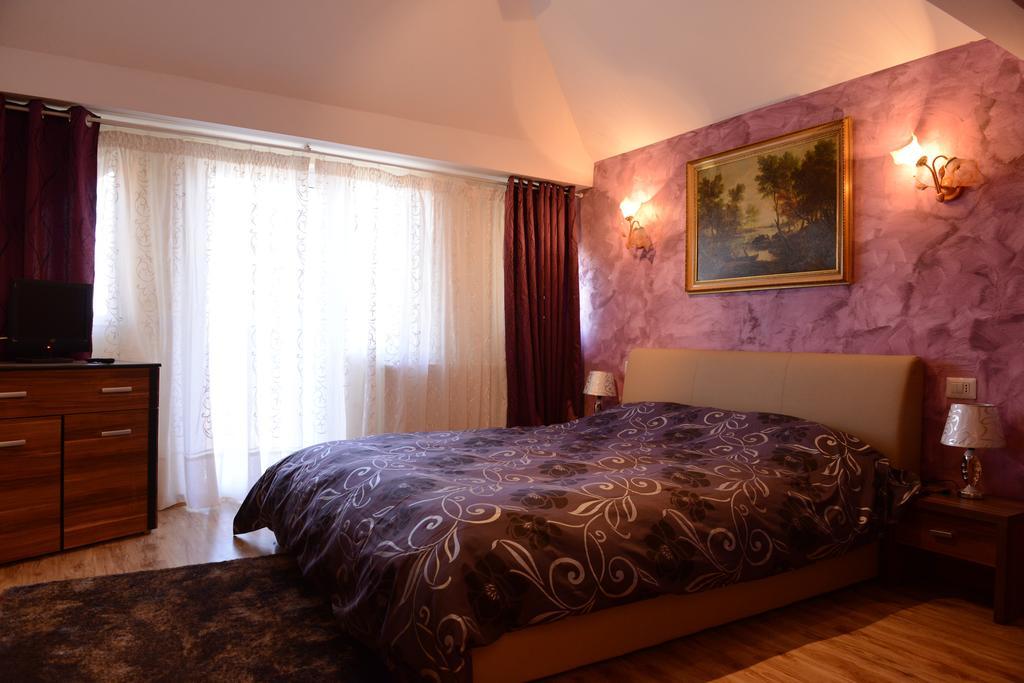 Vila Perla Sapanteana Сэпынца Номер фото